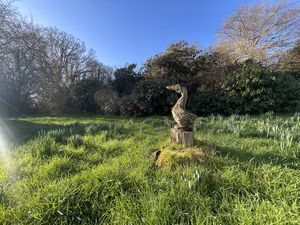 Photo 51- click for photo gallery